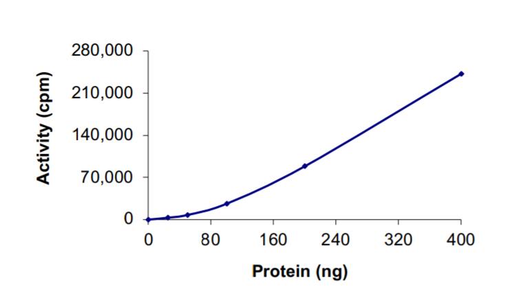 The specific activity of MET (Del Ex14) was determinged to be 38 nmol/min/mg as per activity assay protocol.